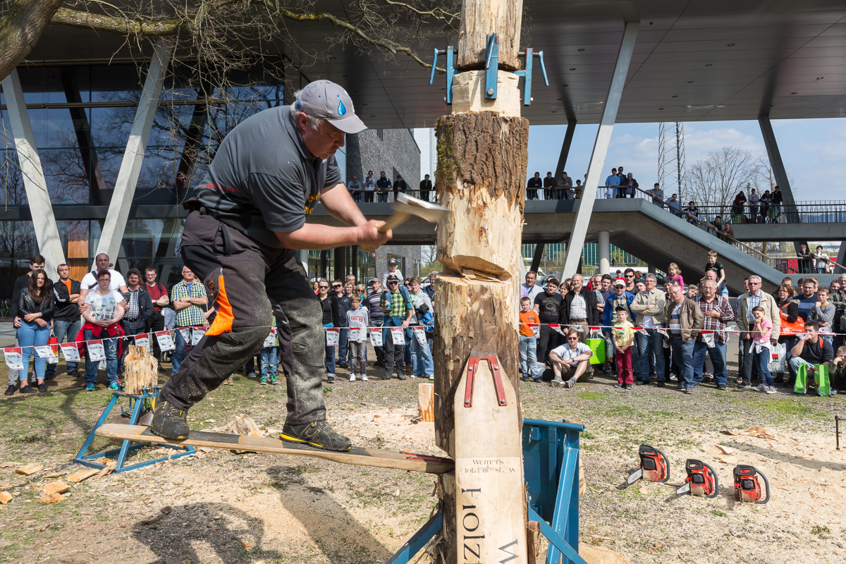 Werner Brohammer in Action